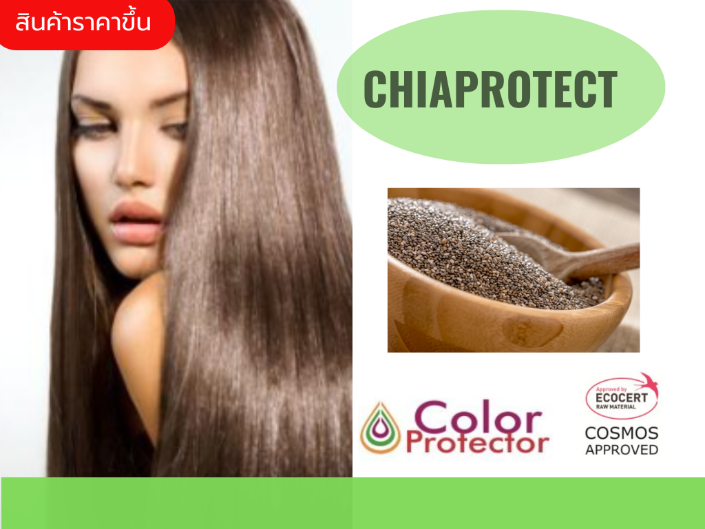 Chiaprotect น้ำมันเมล็ดเจียสกัดเย็น ช่วยบำรุงเส้นผมเงางาม ปกป้องเส้นผมทำสีเมื่อถูกรังสีUV ให้มีสีที่คงทน ไม่ซีดจางเร็ว